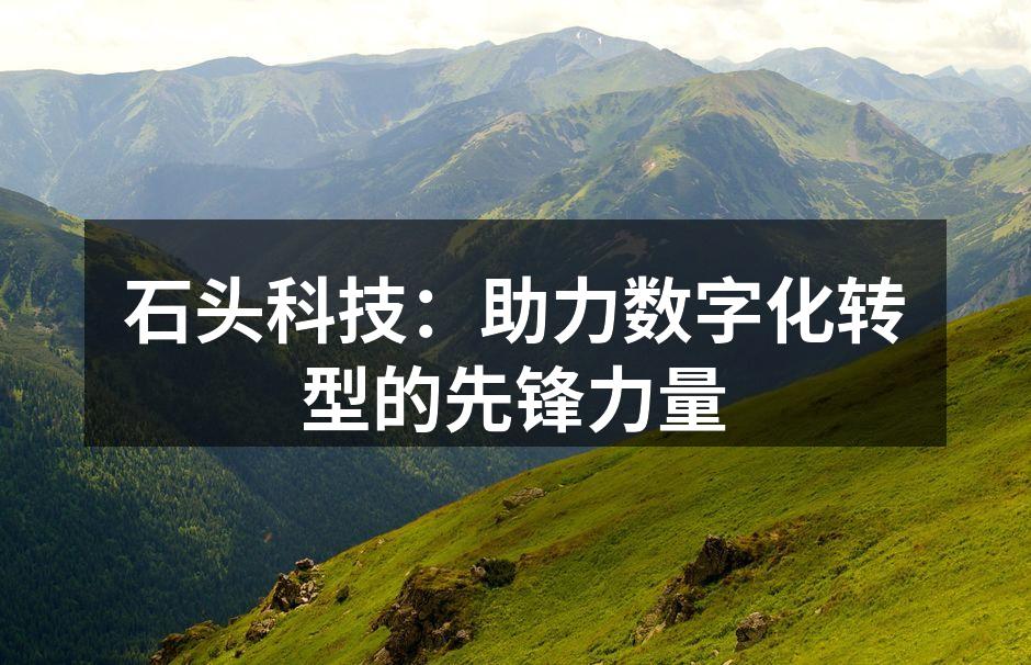 石头科技：助力数字化转型的先锋力量